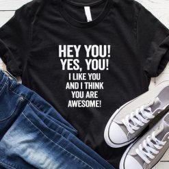 I Like You And You Are Awesome T-Shirt