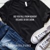 Did You Fall From Heaven T-Shirt