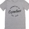 Promoted To Grandma Est 2022 T-Shirts